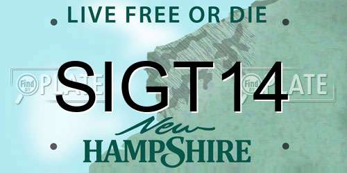 SIGT14 New Hampshire License Plate