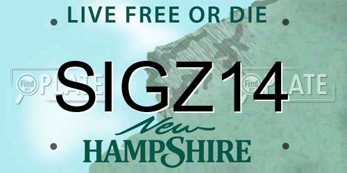 SIGZ14 New Hampshire License Plate