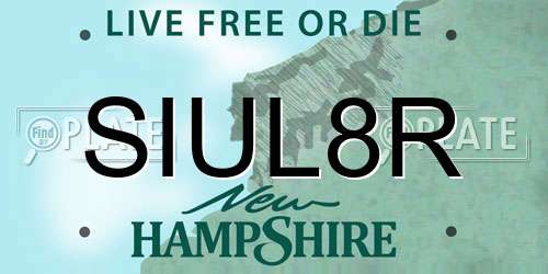 SIUL8R New Hampshire License Plate