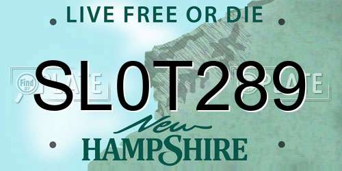 SL0T289 New Hampshire License Plate