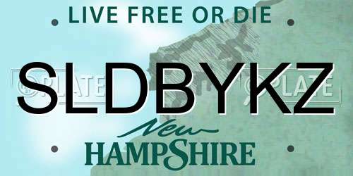 SLDBYKZ New Hampshire License Plate