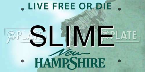 SLIME New Hampshire License Plate