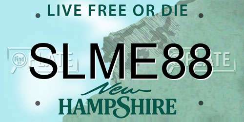 SLME88 New Hampshire License Plate