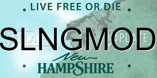 SLNGMOD New Hampshire License Plate
