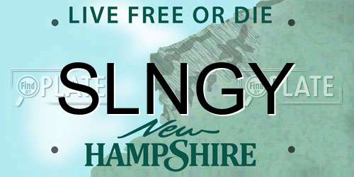 SLNGY New Hampshire License Plate