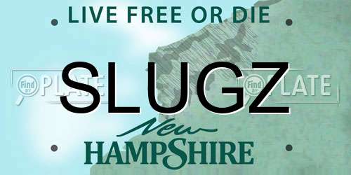 SLUGZ New Hampshire License Plate