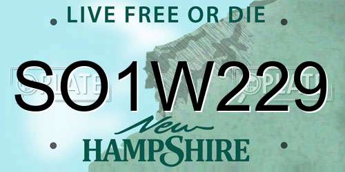 SO1W229 New Hampshire License Plate