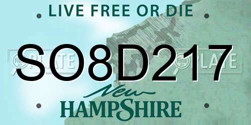 SO8D217 New Hampshire License Plate