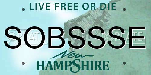 SOBSSSE New Hampshire License Plate