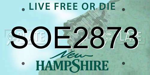 SOE2873 New Hampshire License Plate