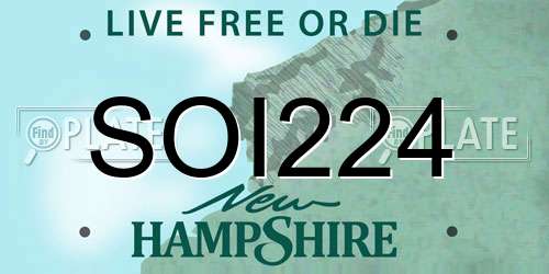 SOI224 New Hampshire License Plate