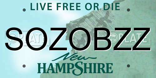 SOZOBZZ New Hampshire License Plate