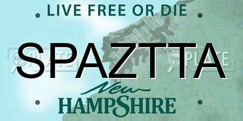 SPAZTTA New Hampshire License Plate