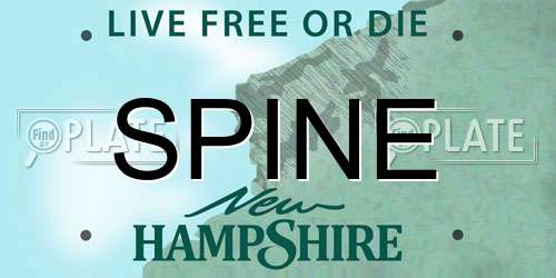 SPINE New Hampshire License Plate
