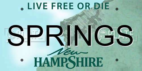 SPRINGS New Hampshire License Plate