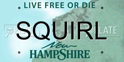 SQUIRL New Hampshire License Plate
