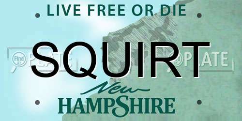 SQUIRT New Hampshire License Plate