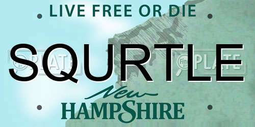 SQURTLE New Hampshire License Plate