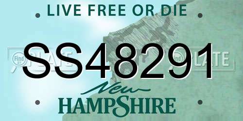 SS48291 New Hampshire License Plate