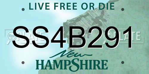 SS4B291 New Hampshire License Plate