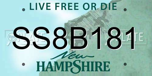 SS8B181 New Hampshire License Plate
