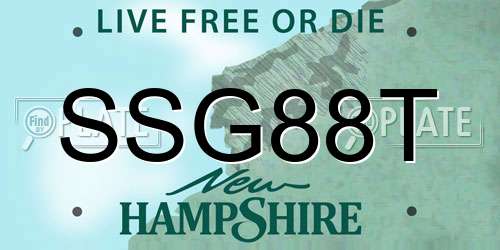 SSG88T New Hampshire License Plate