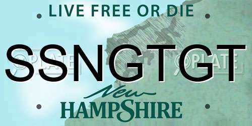 SSNGTGT New Hampshire License Plate
