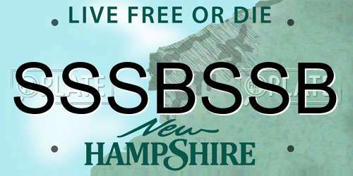 SSSBSSB New Hampshire License Plate