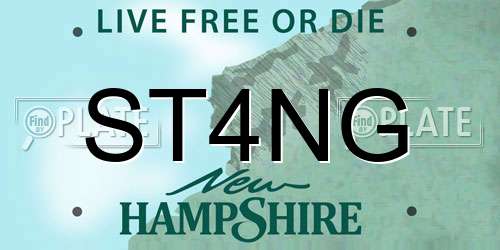 ST4NG New Hampshire License Plate