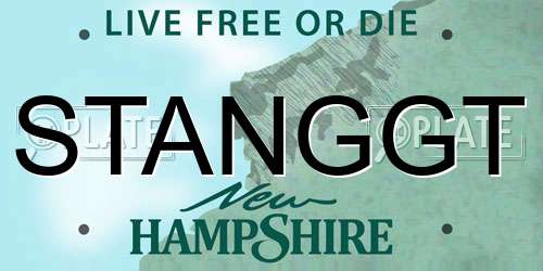 STANGGT New Hampshire License Plate