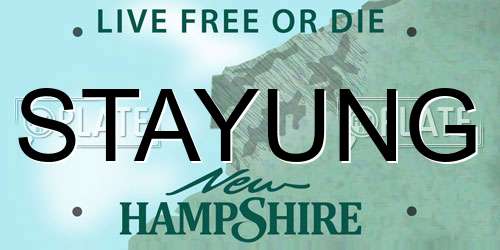 STAYUNG New Hampshire License Plate
