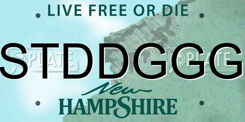 STDDGGG New Hampshire License Plate