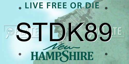 STDK89 New Hampshire License Plate