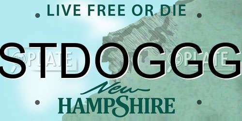 STDOGGG New Hampshire License Plate