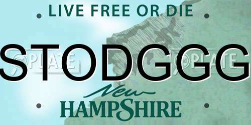 STODGGG New Hampshire License Plate