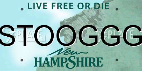 STOOGGG New Hampshire License Plate