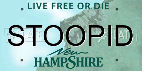 STOOPID New Hampshire License Plate