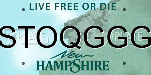 STOQGGG New Hampshire License Plate