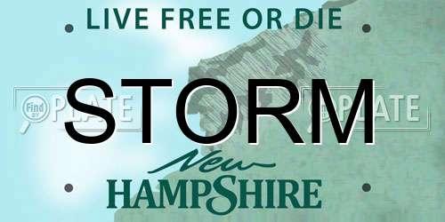 STORM New Hampshire License Plate