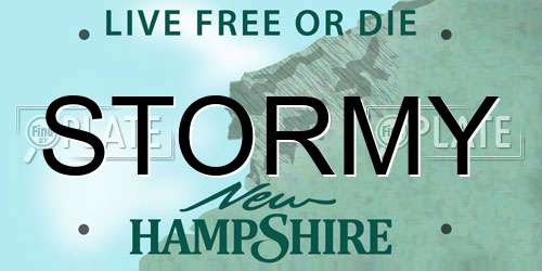 STORMY New Hampshire License Plate