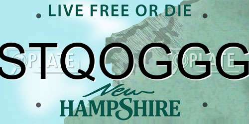 STQOGGG New Hampshire License Plate