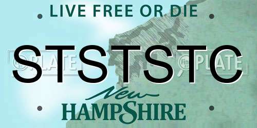 STSTSTC New Hampshire License Plate