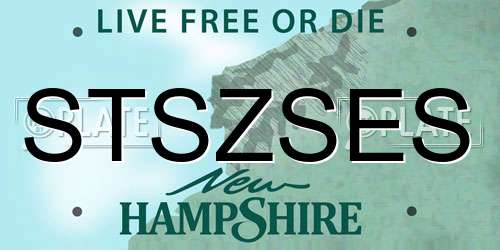 STSZSES New Hampshire License Plate