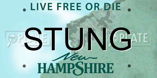 STUNG New Hampshire License Plate