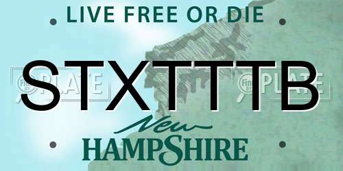 STXTTTB New Hampshire License Plate