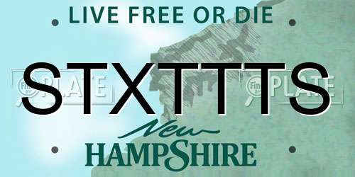 STXTTTS New Hampshire License Plate
