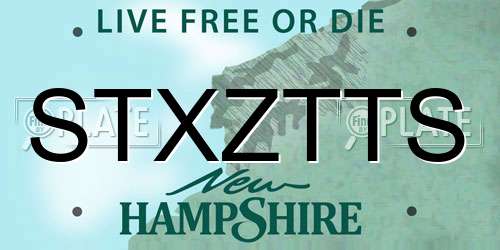 STXZTTS New Hampshire License Plate