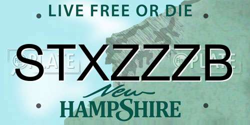 STXZZZB New Hampshire License Plate