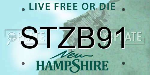 STZB91 New Hampshire License Plate
