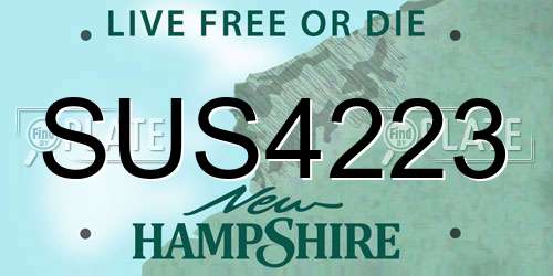 SUS4223 New Hampshire License Plate